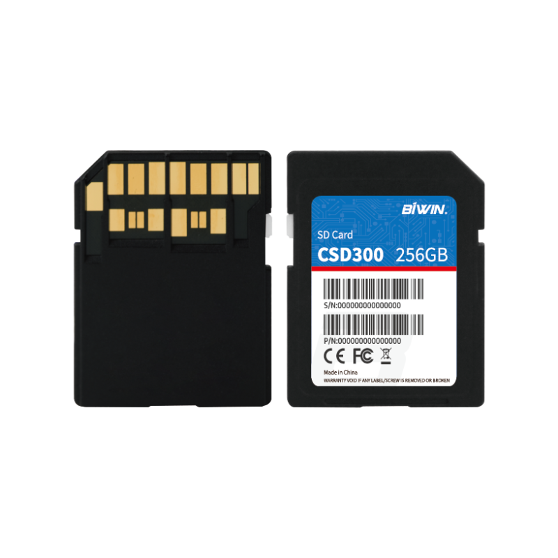 BIWIN SD Card